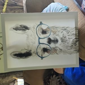 Llama picture 12x16